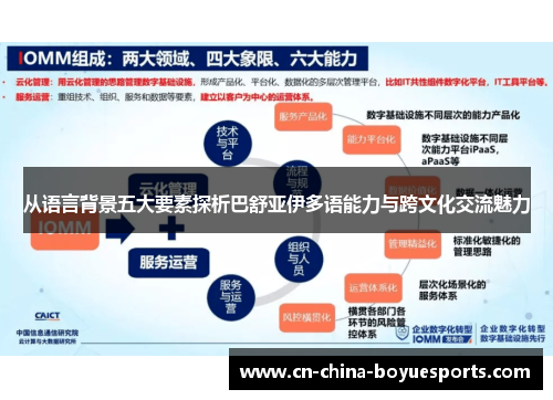 从语言背景五大要素探析巴舒亚伊多语能力与跨文化交流魅力