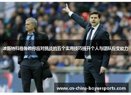 波斯特科格鲁教你应对挑战的五个实用技巧提升个人与团队应变能力 波斯特科格鲁教你应对挑战的五个实用技巧提升个人与团队应变能力