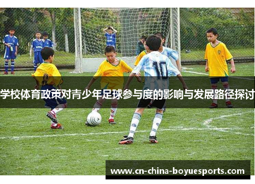 学校体育政策对青少年足球参与度的影响与发展路径探讨