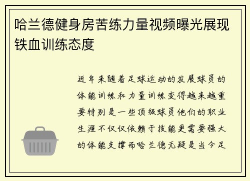 哈兰德健身房苦练力量视频曝光展现铁血训练态度